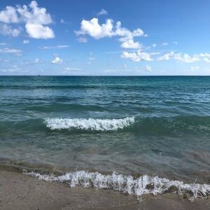 Meet your Posher, Lia